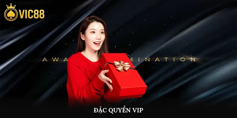 Đặc quyền VIP