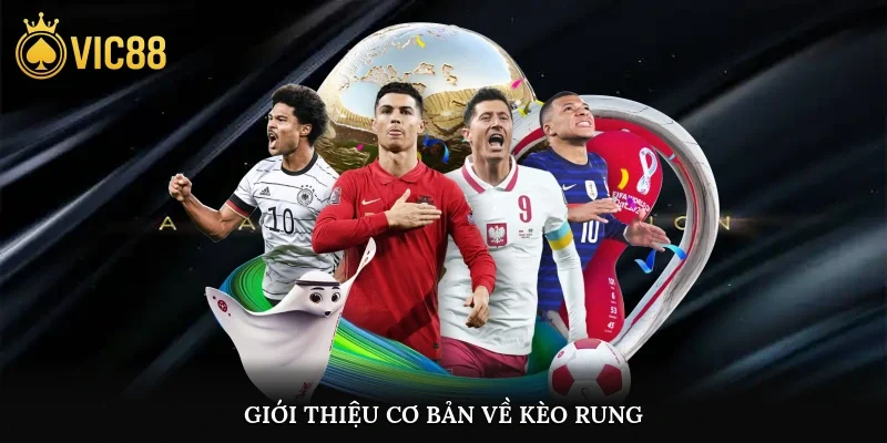 Giới thiệu cơ bản về kèo rung