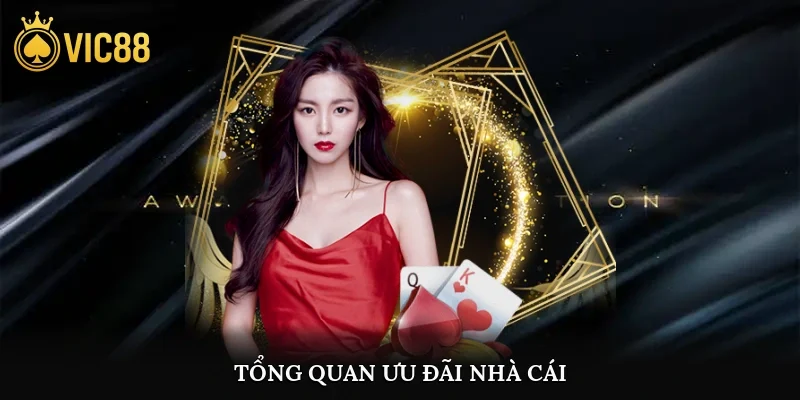 Tổng quan ưu đãi nhà cái
